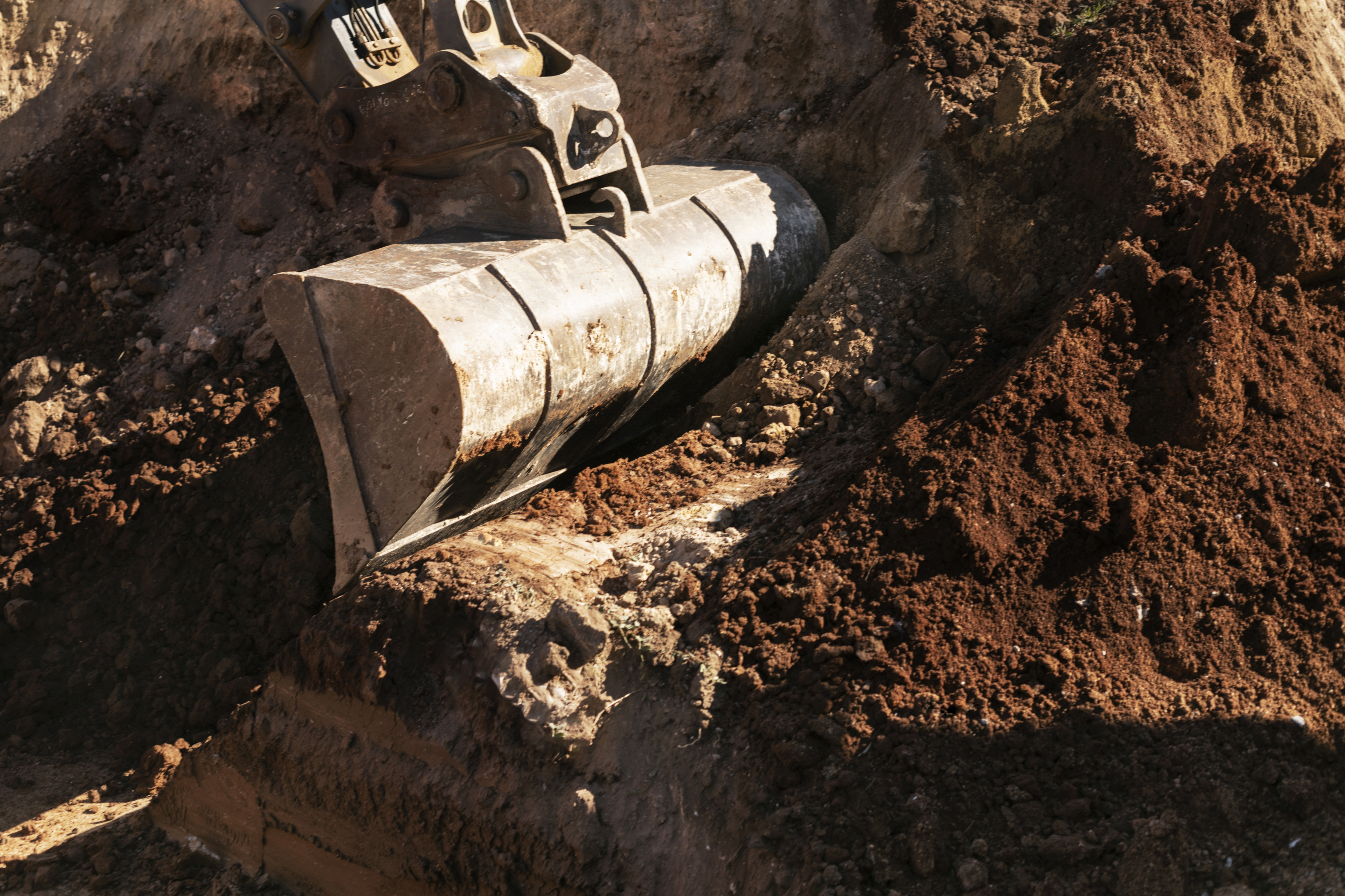 Press mud, cow dung and Napier grass feedstock